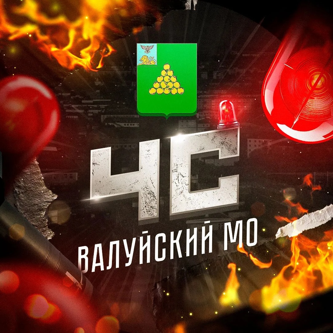 Аватар канала ЧС: Валуйский МО