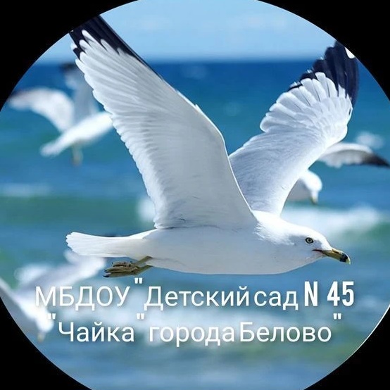 🫧МБДОУ "Детский сад № 45 „Чайка“города Белово"