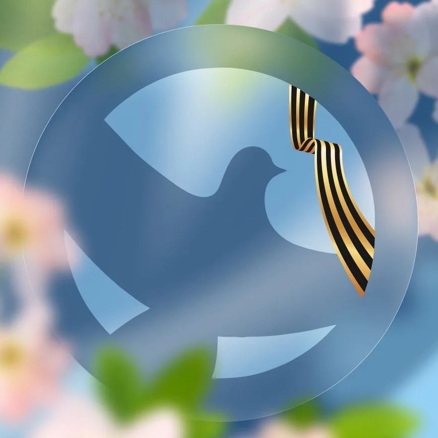 Волонтёры Победы I Мурманская область 🕊️