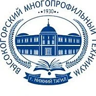 ГАПОУ СО "Высокогорский многопрофильный техникум"