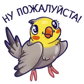 Попугайчики — стикер для MAX