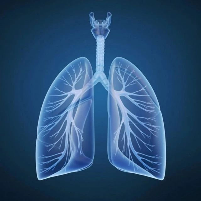 ГБУЗ "Ровеньковский противотуберкулезный диспансер" ЛНР