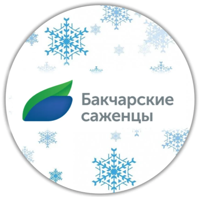 Бакчарские саженцы | АО "Бакчарское" | Жимолость