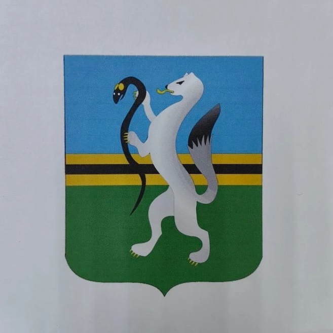 Совет депутатов Чулымского района