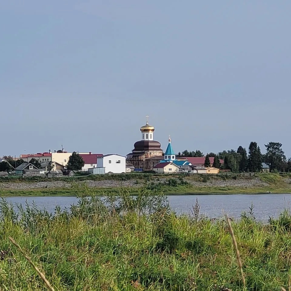Миян Ижма медся дона