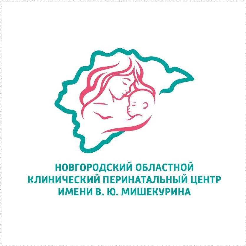 Новгородский перинатальный центр