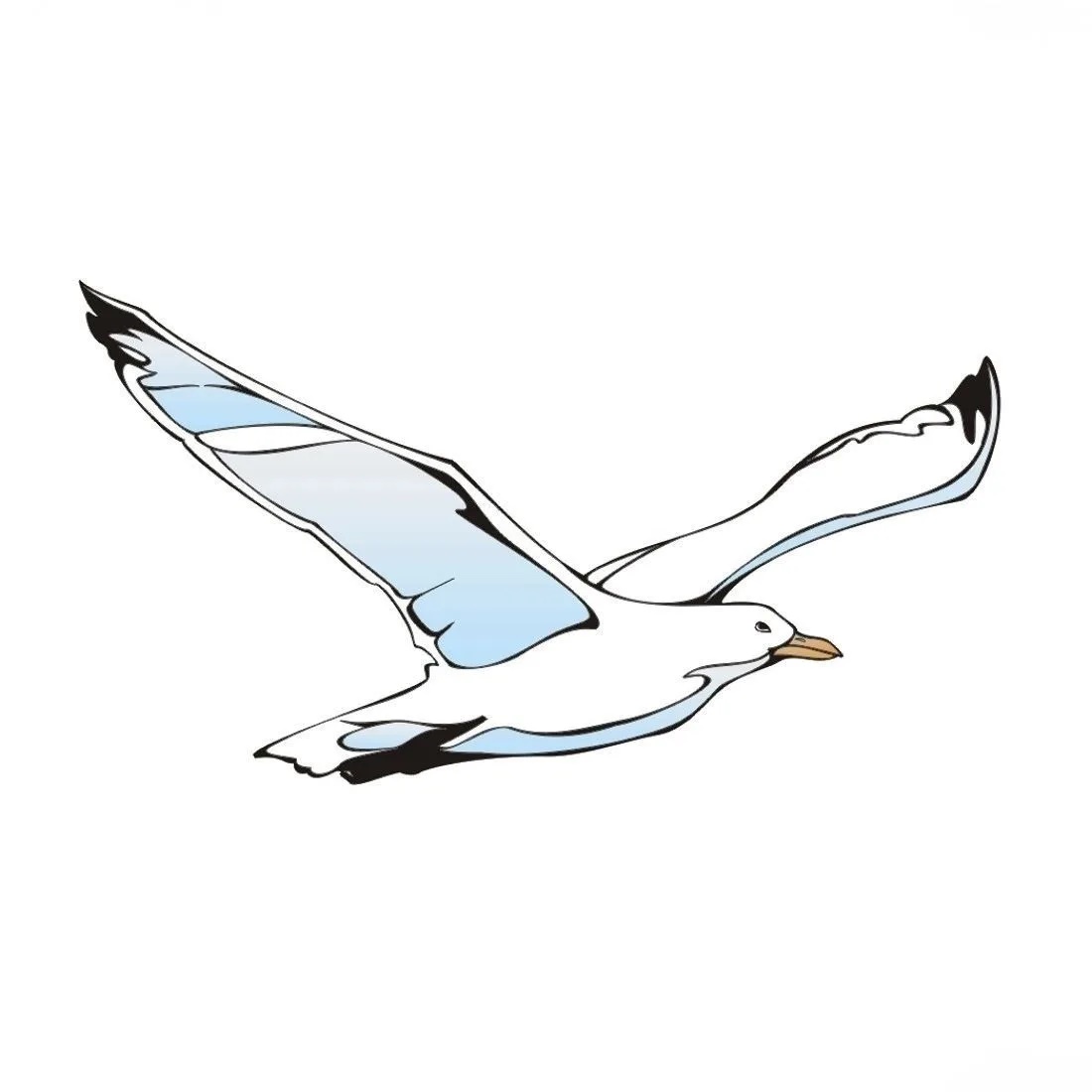 ТСН "Чайка" Красноярск