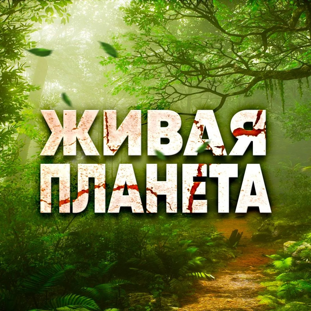 Живая планета