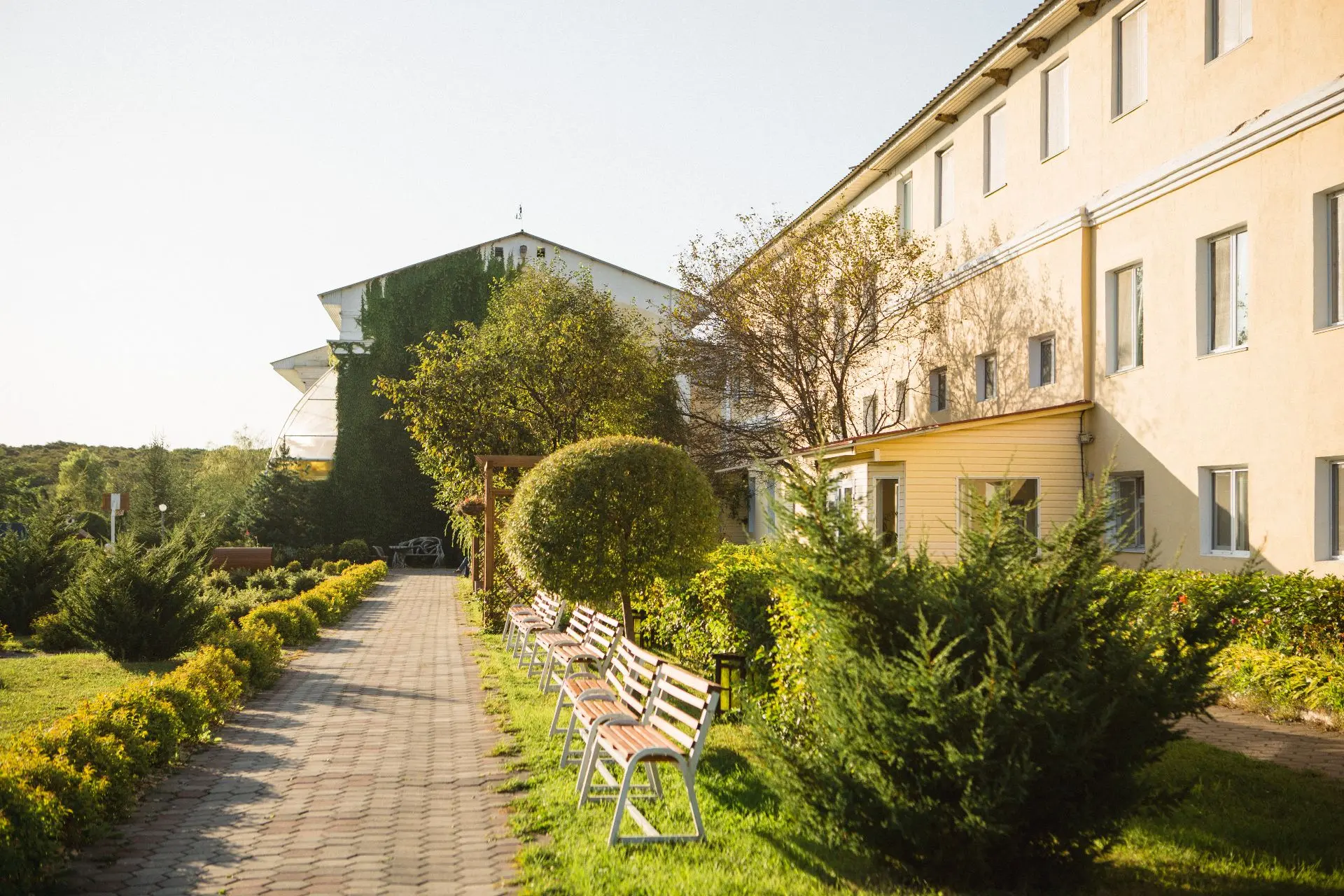 Санаторий Белый Лебедь