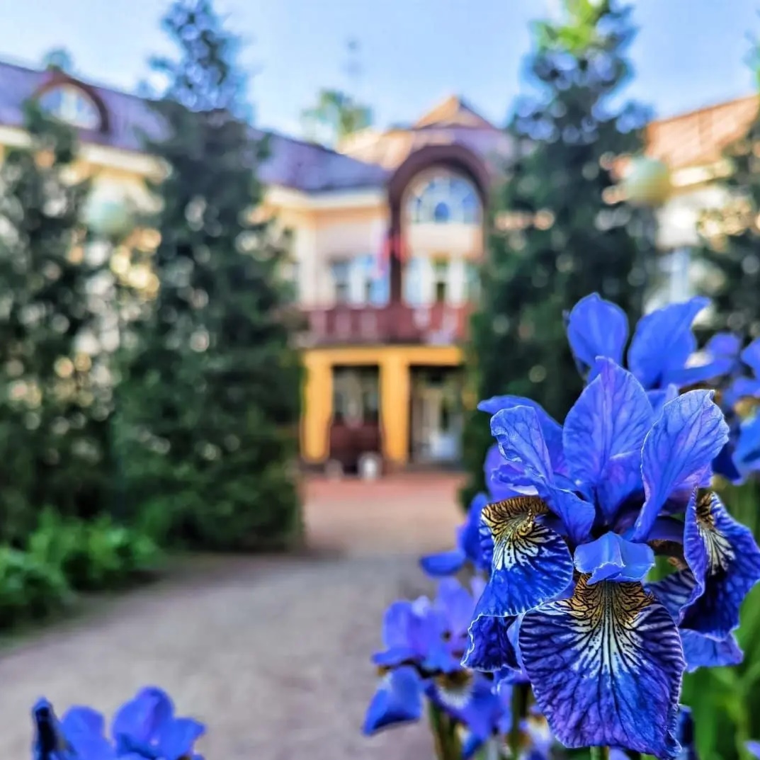 ГБДОУ детский сад 19 Курортного района Санкт-Петербурга