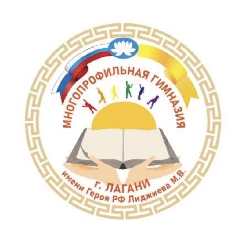 МКОУ "МПГ г. Лагани им. Героя РФ Лиджиева М.В."