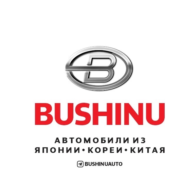 Аватар канала BUSHINUAUTO