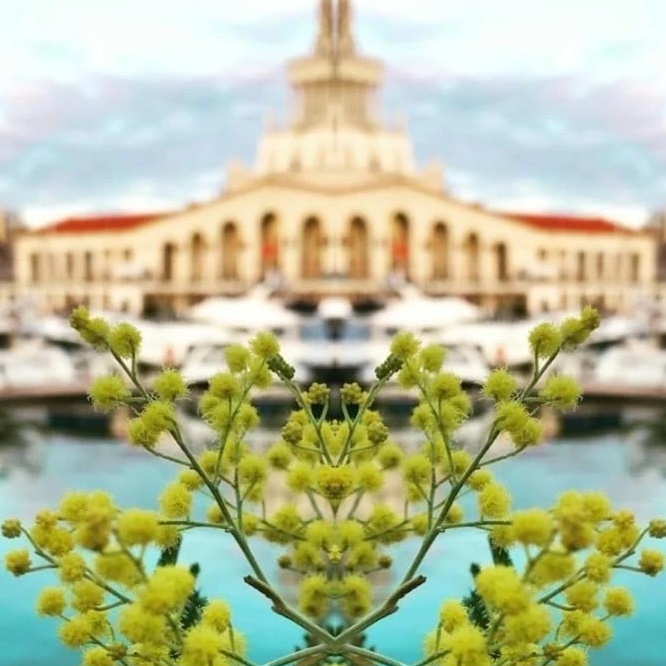 Мой прекрасный Сочи