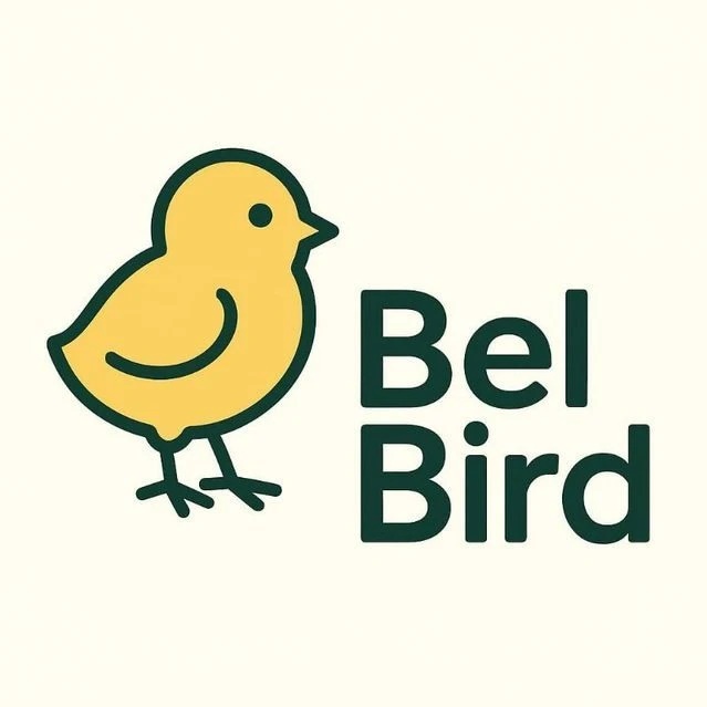 BelBird | Живая Птица