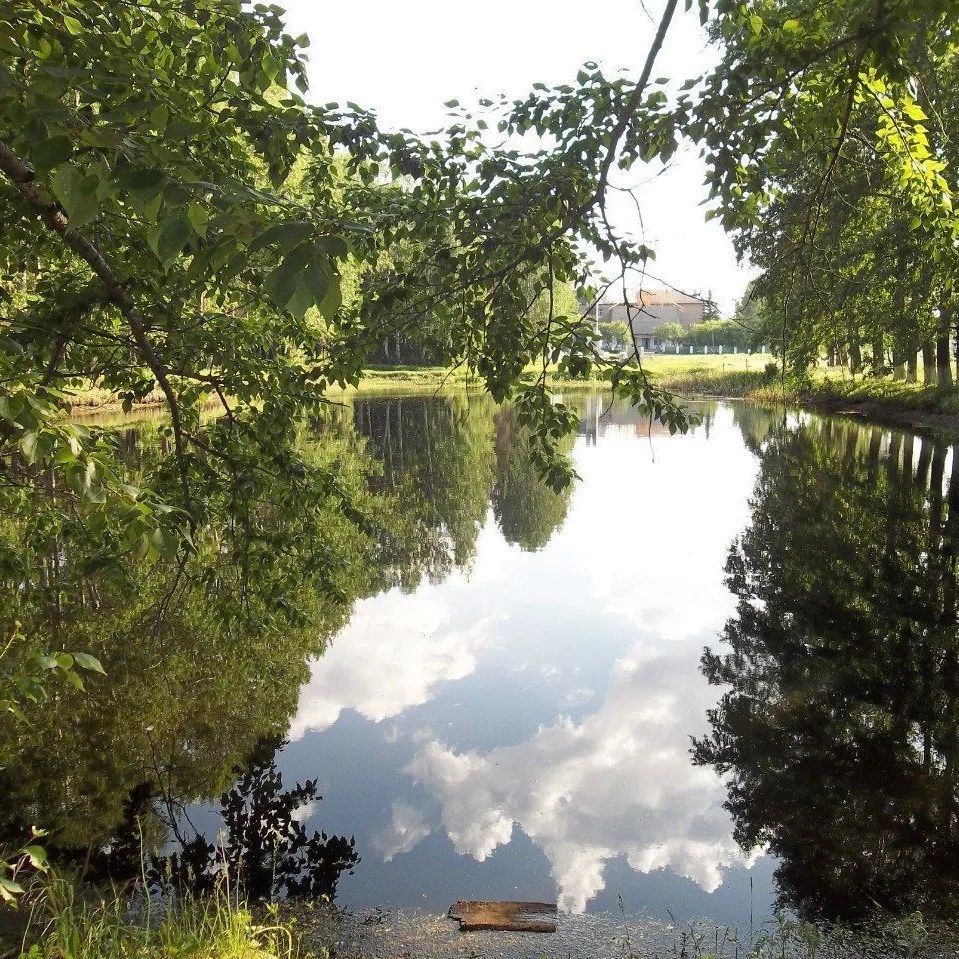 Администрация сельского поселения Ильино-Полянский сельсовет муниципального района Благовещенский район Республики Башкортостан