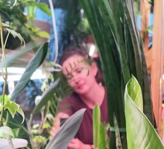 Студия флорариумов и комнатных растений в Новокузнецке