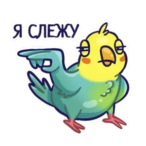 Попугайчики — стикер для MAX