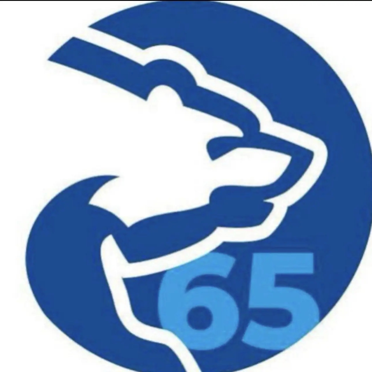 Единая Россия Невельский МО