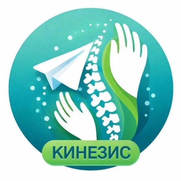 Сеть центров «КИНЕЗИС»