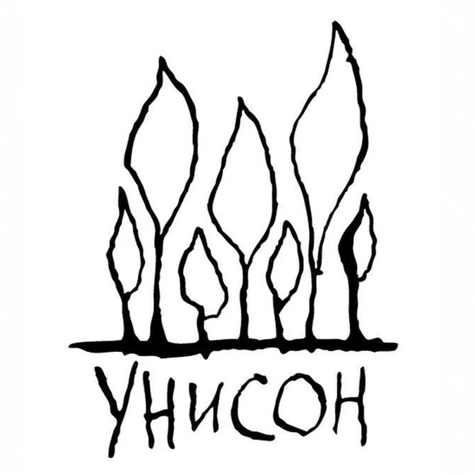 Частная школа «Унисон»