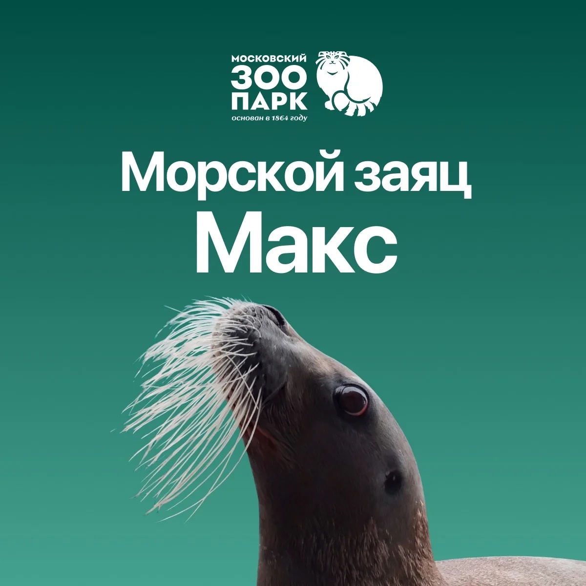 Аватар канала Морской заяц Макс