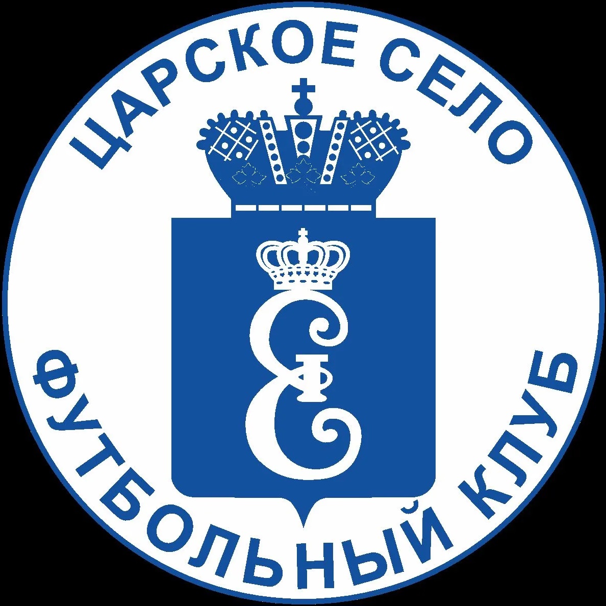 Спортивная школа по футболу Пушкинского района