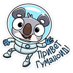 Коала — стикер для MAX