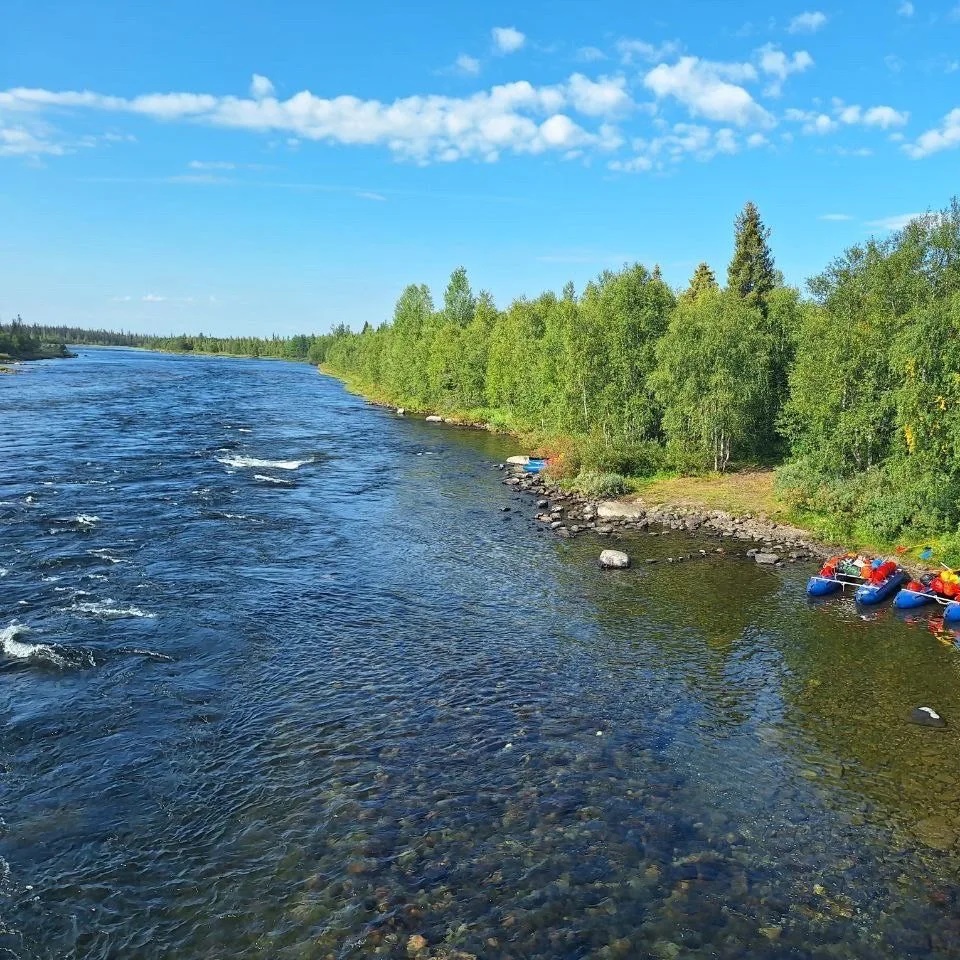 МАУДО Станция десткого и юношеского туризма и экскурсий