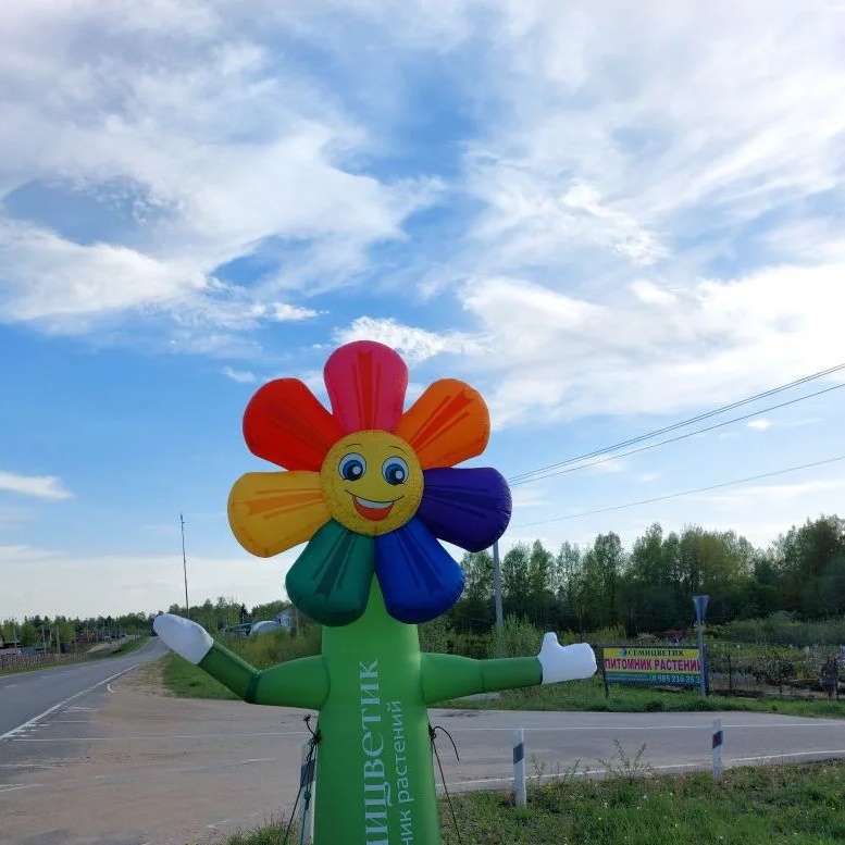 Питомник растений Семицветик