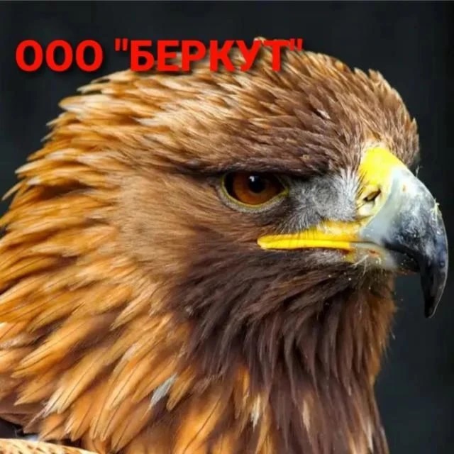 УК ООО "Беркут"