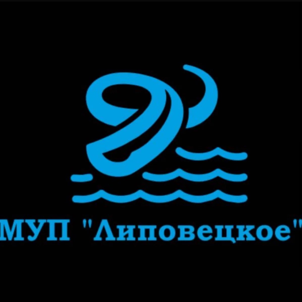 РСО МУП «ЛИПОВЕЦКОЕ»