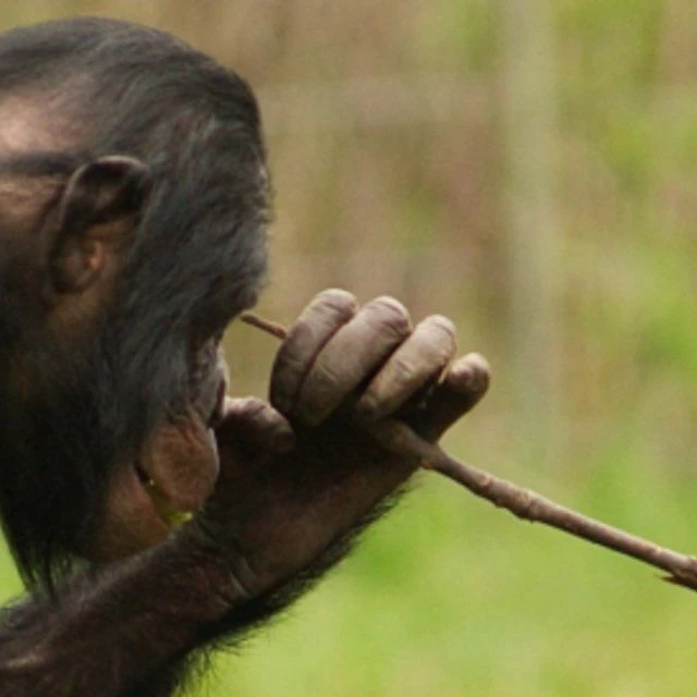 При ЦЕЛЬ но точно?!