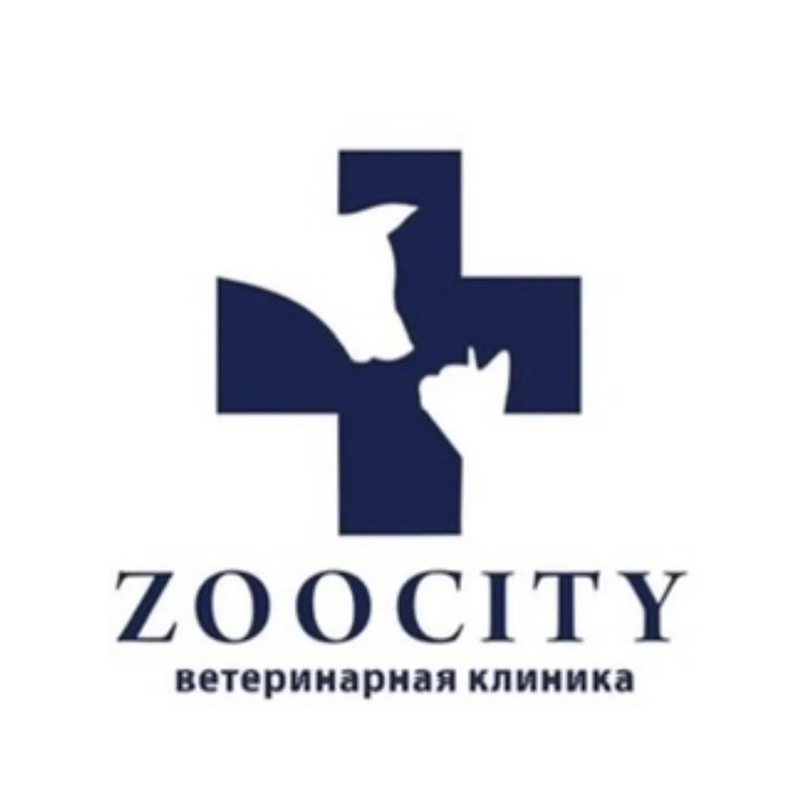 Ветеринарная клиника ЗооСити, Казань