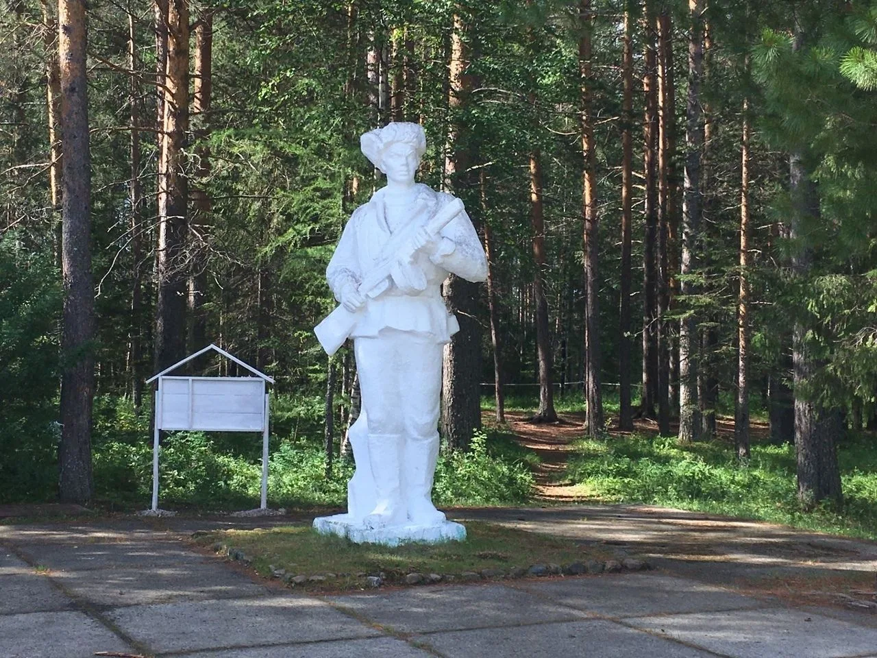 МАУ  "ДОЗЛ им. В. Дубинина"