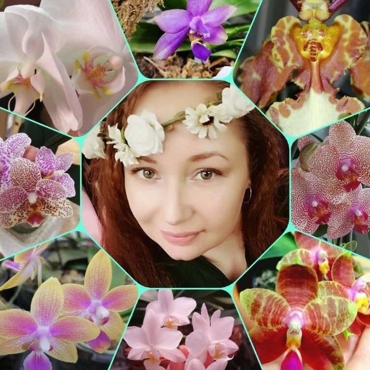 Татьяна Семёнова ОрхоголичкаTV