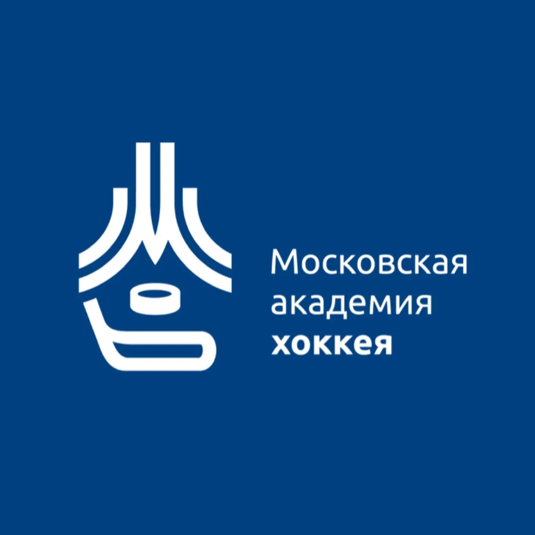 ГБУ ДО «Московская академия хоккея»