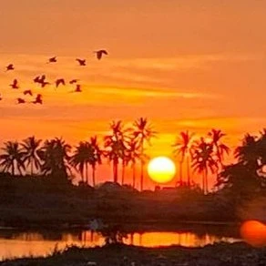 ТехОтдел За Гранью