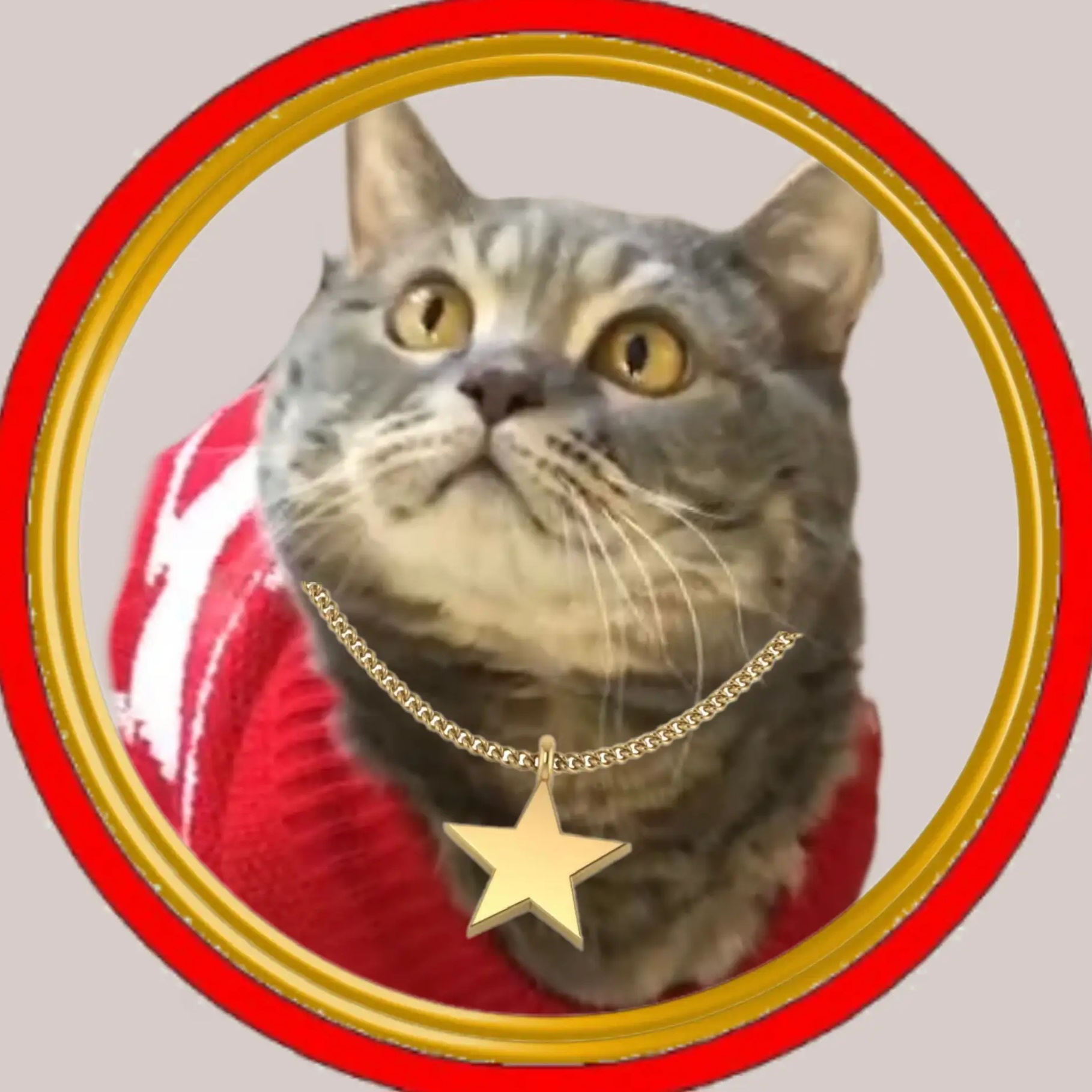 Кот в валенках Марсель