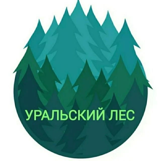 Уральский лес