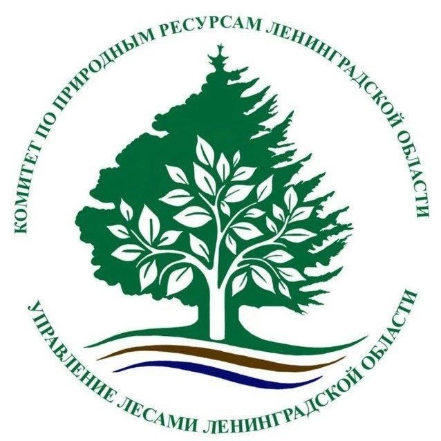 Управление лесами Ленинградской области