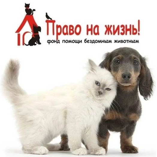 Помощь животным Ноябрьска