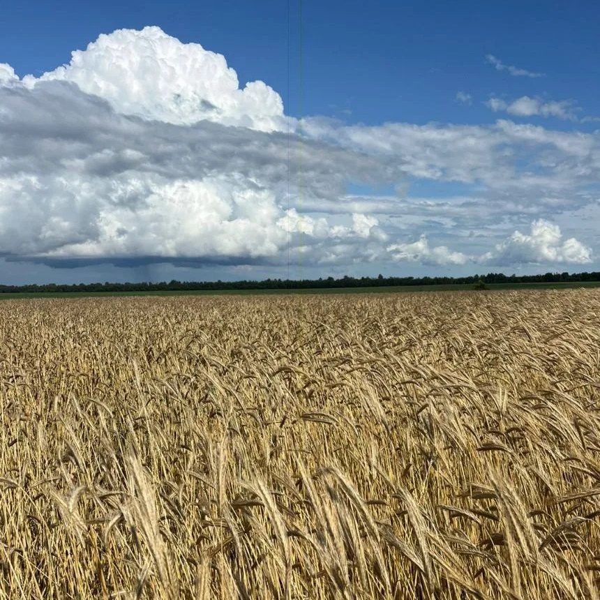 Администрация Салтынского сельского поселения Урюпинский муниципальный район Волгоградской области