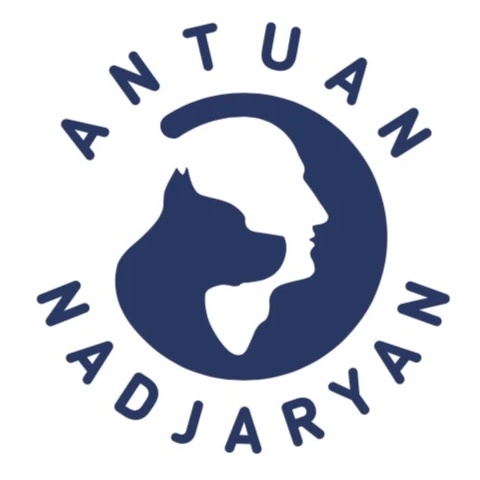 Антуан Наджарян - Официальный канал