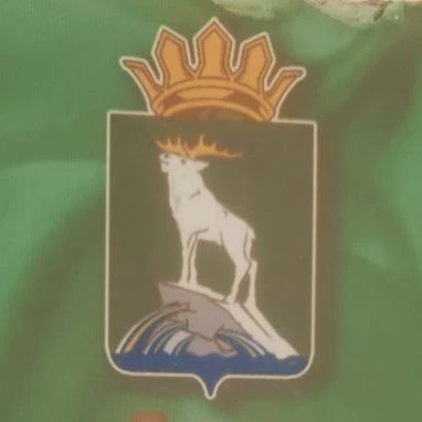 Дума Нижнесергинского муниципального района