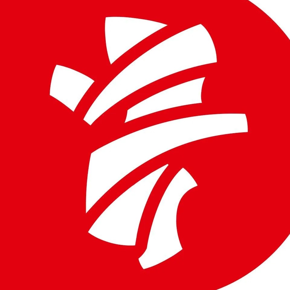 АНО «ДФиКММ ЧО»