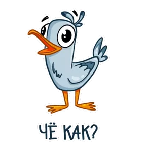Чайка — стикер для MAX
