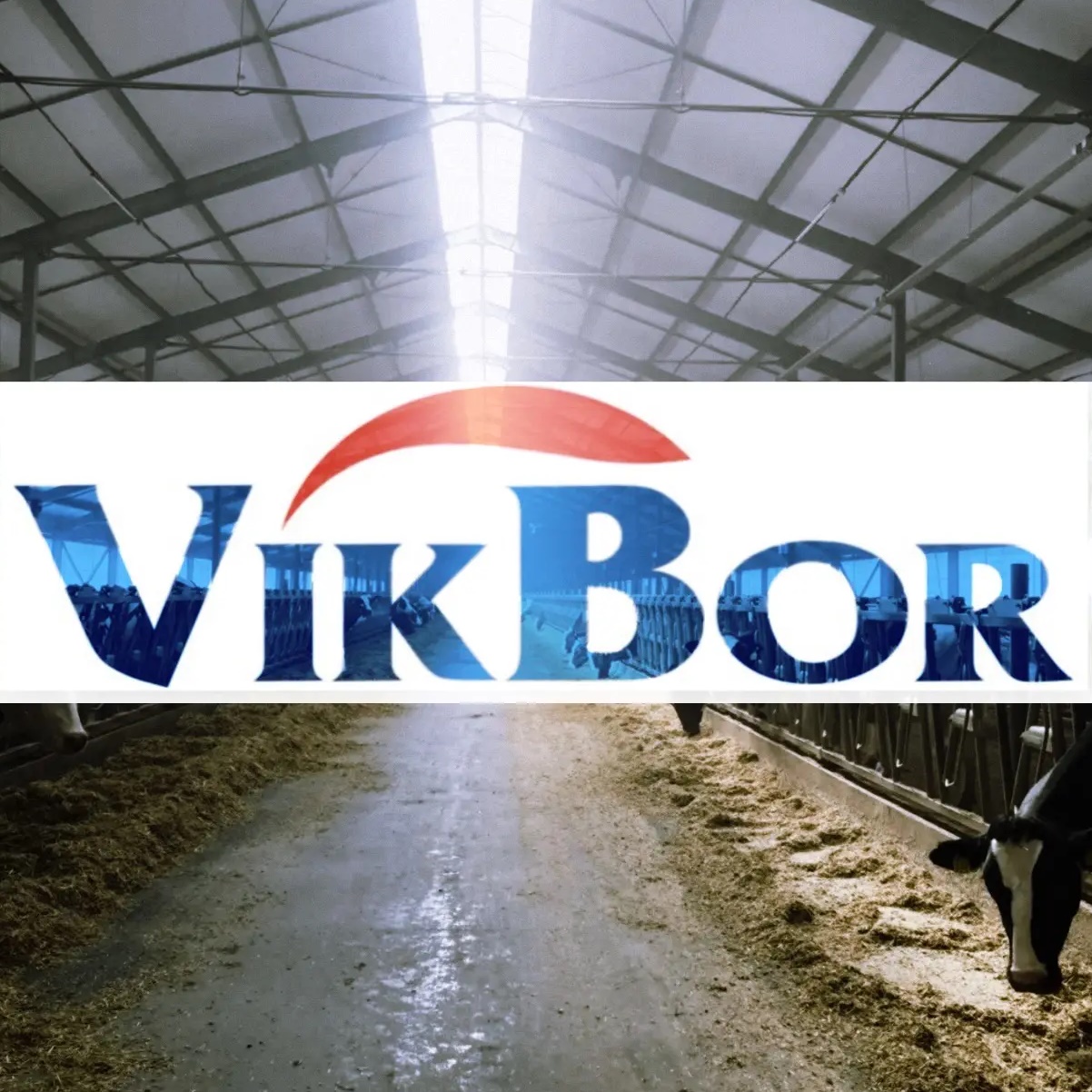 VikBor - ветеринария, ортопедия и дезинфекция.