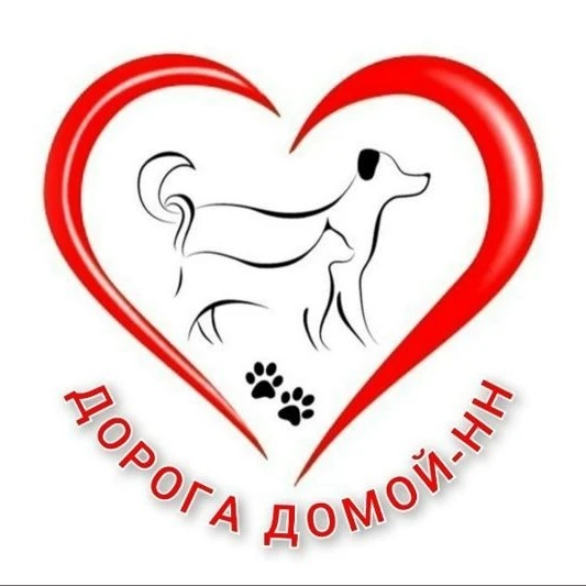 ДОРОГА ДОМОЙ - Нижний Новгород( Поиск животных )