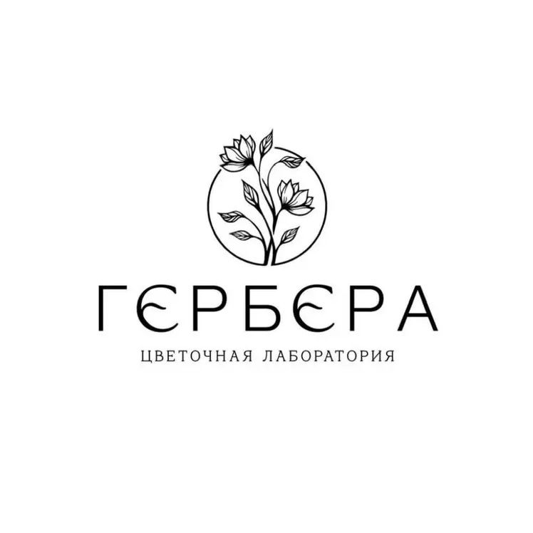 ГЕРБЕРА ЦВЕТЫ СТАВРОПОЛЬ