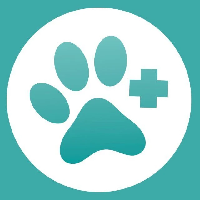 МурВет|Ветеринарная клиника🐾